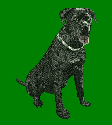 whatsapp image 2025 04 02 at 1.54.30 pm (1)